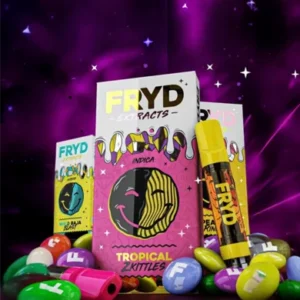 Fryd Disposable